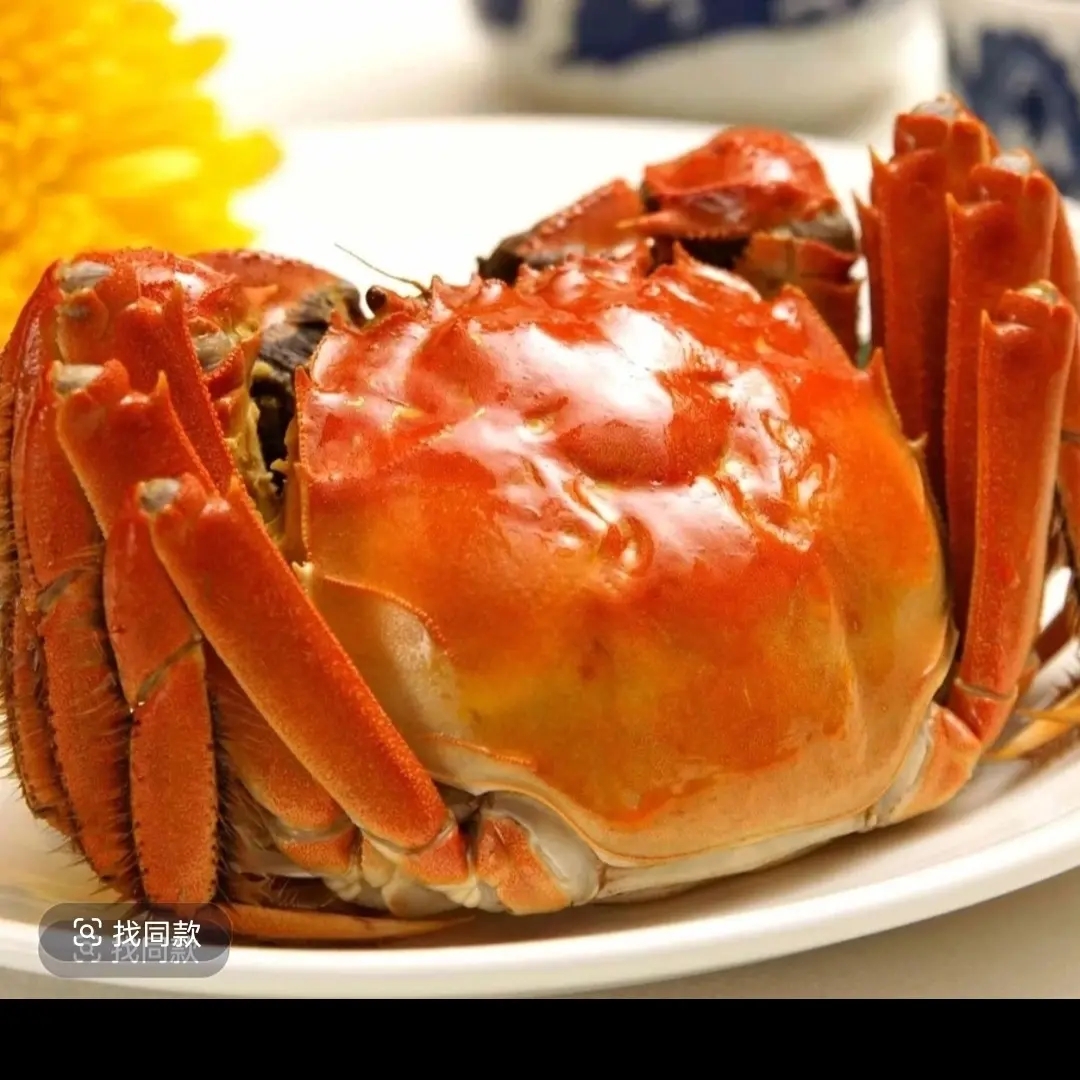 【活蟹】精品大闸蟹（母蟹3.7～3.5两4-10只 ）（公蟹4.2～4.0两4-10只）