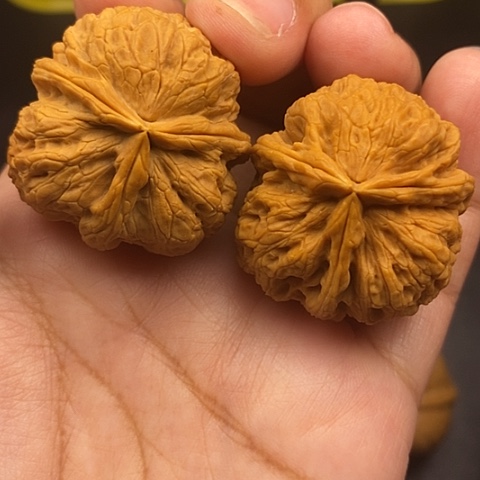 文玩核桃把件36尺三棱特价磕碰