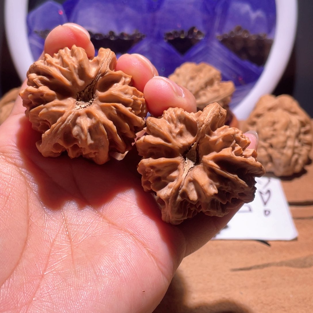 瞌*虫S079 41尺 大龙