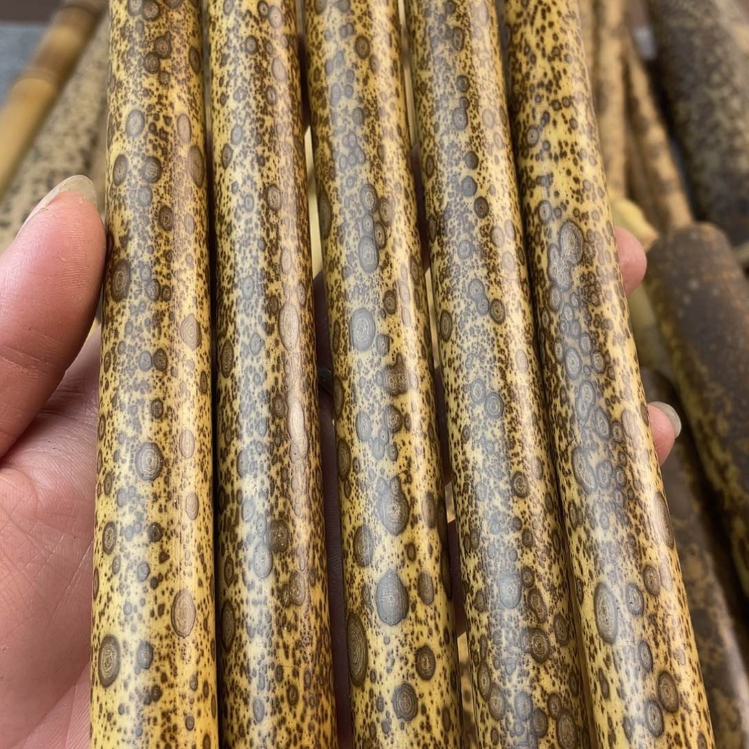 子***】梅鹿竹料圆筒五节