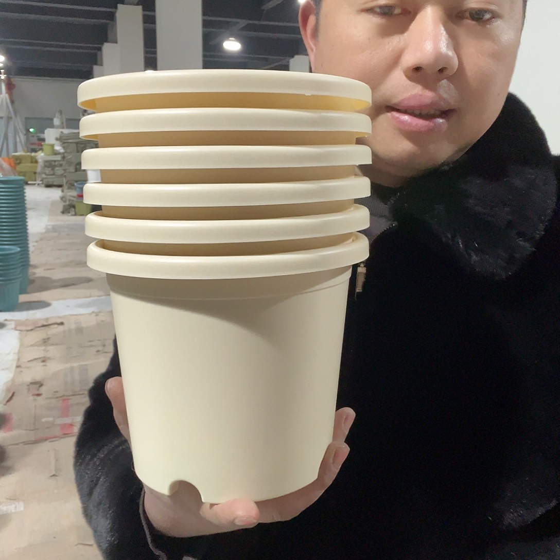 树脂圆2号米10个无托