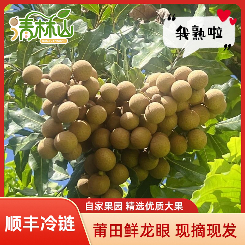 顺丰生鲜冷链莆田龙眼特产现摘现发新鲜水果桂圆清甜多汁肉厚饱满