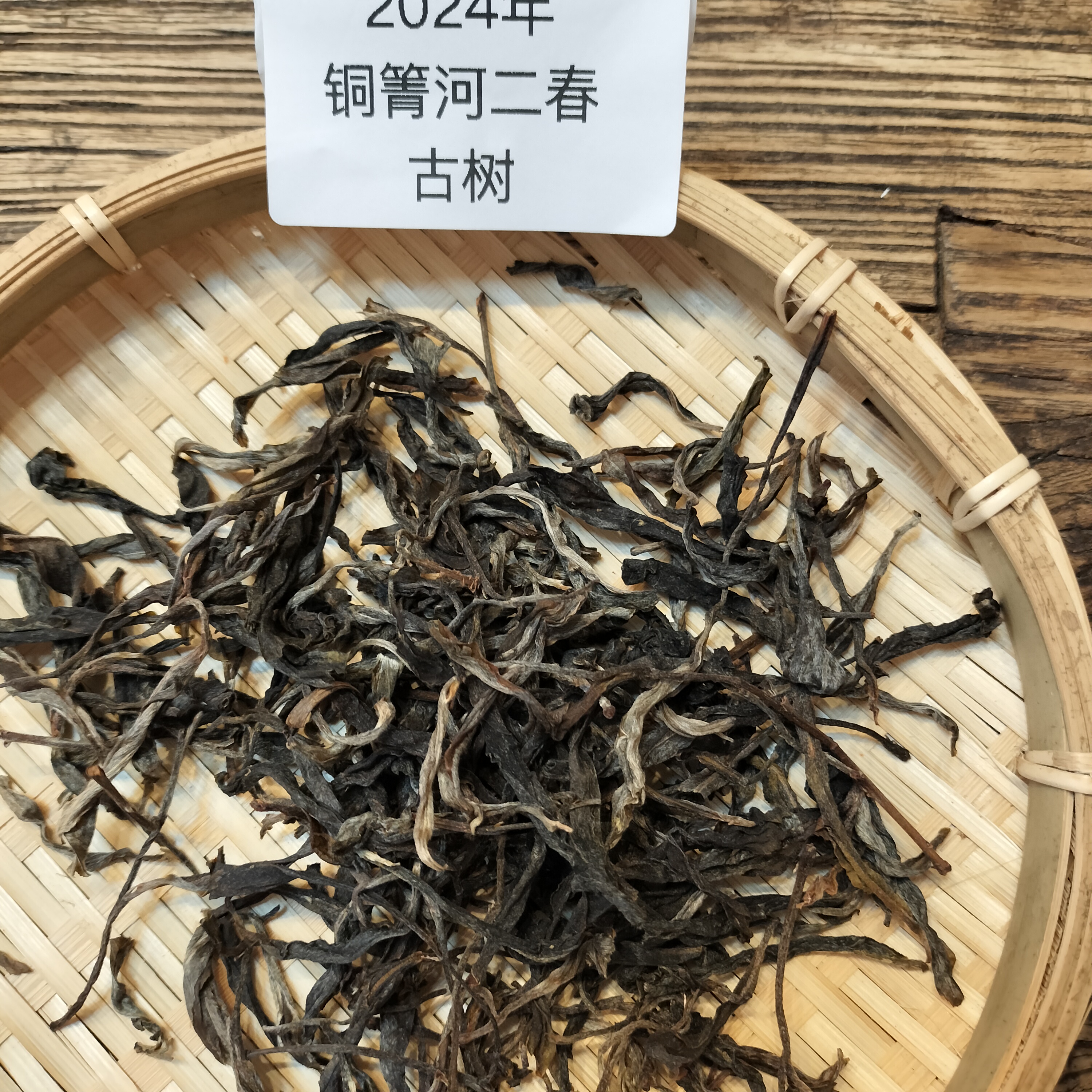 2024铜箐河二春头采古树   云南茗片