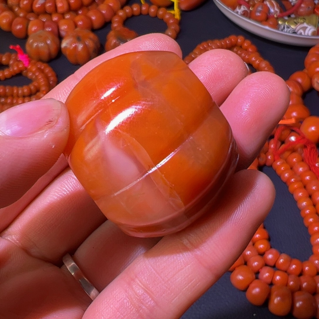 大果紫檀（缅甸花梨）教****生