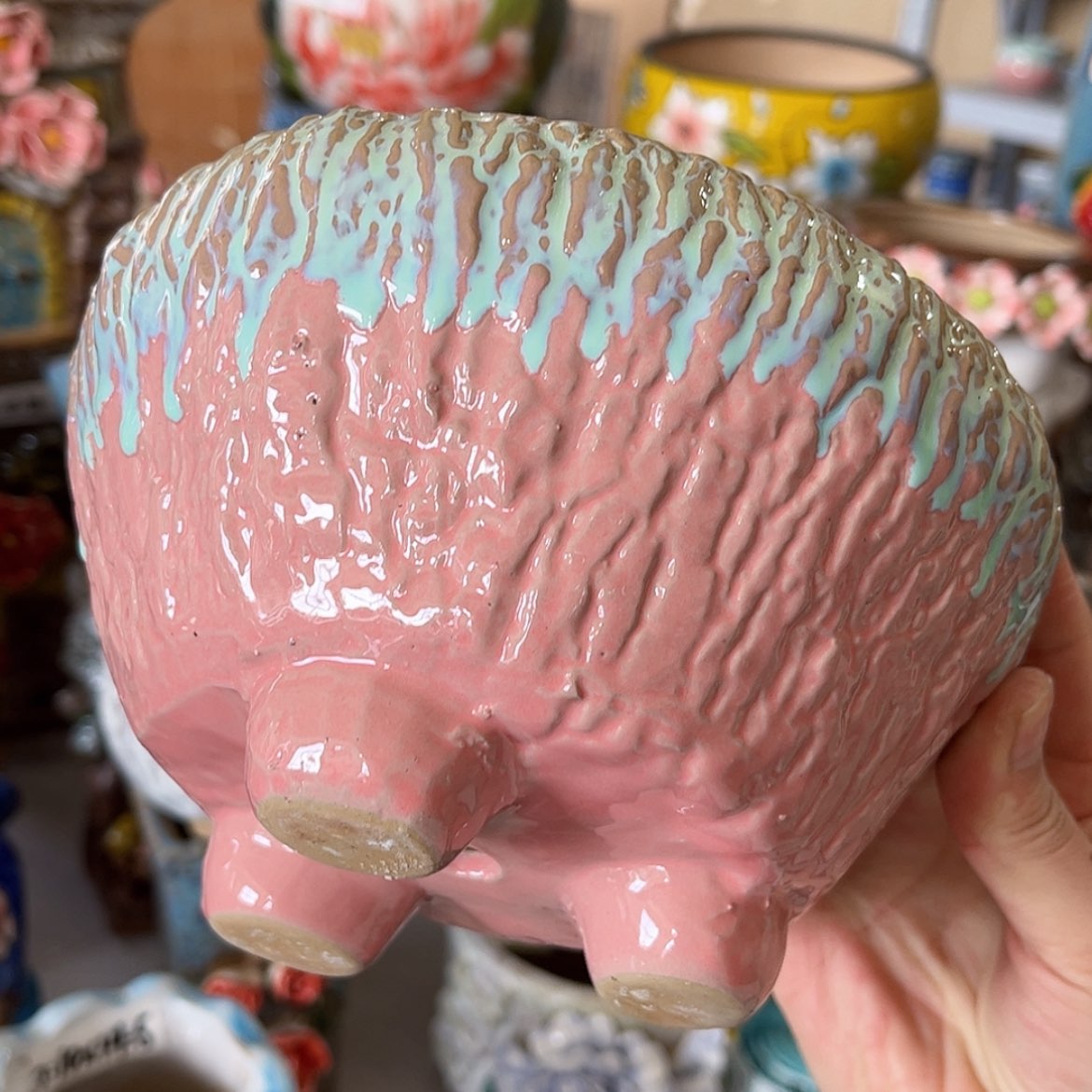 【闪购商品】红陶福利