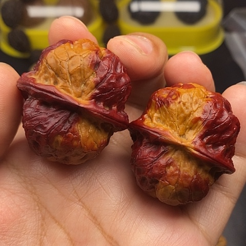 文玩核桃把件40尺疙瘩包