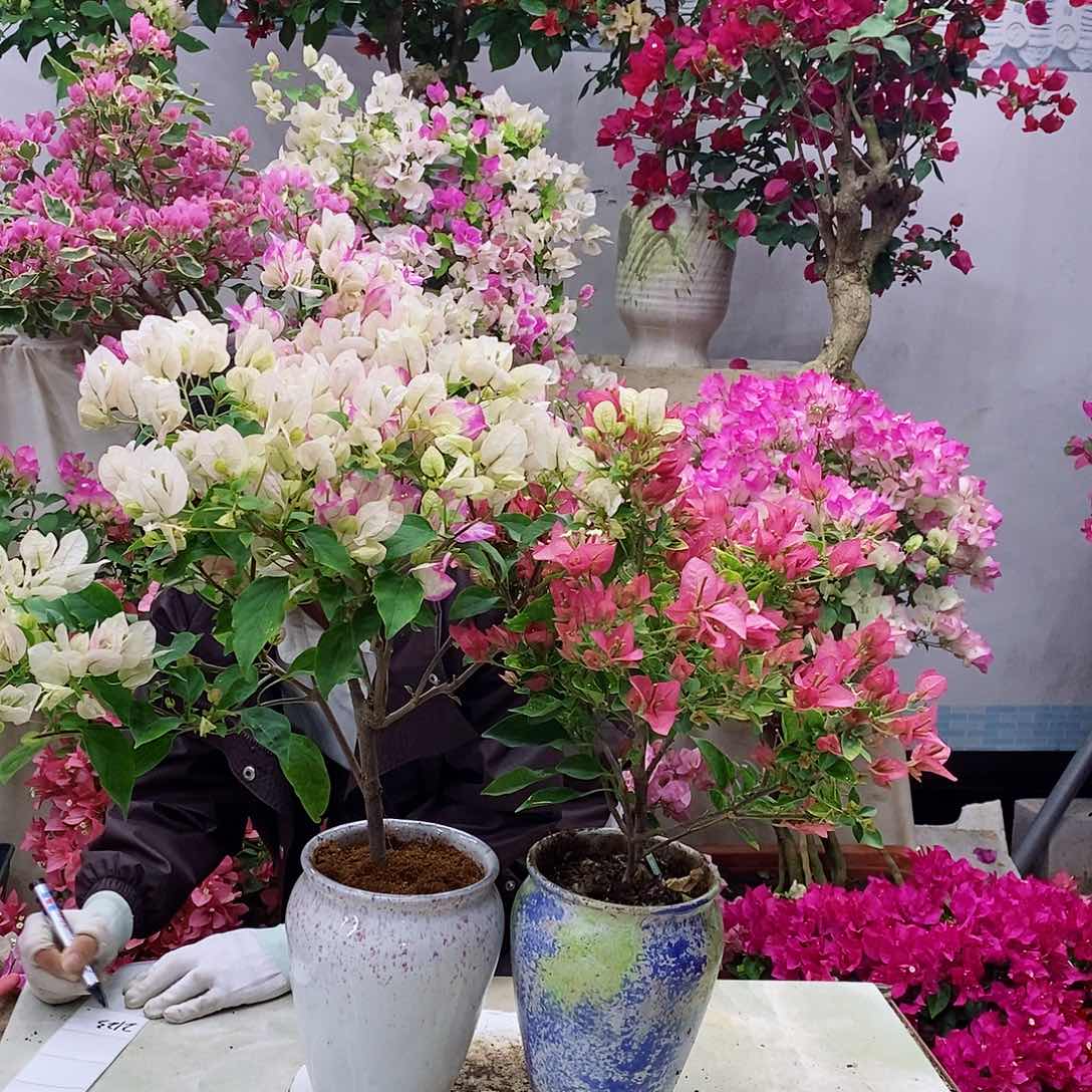 完全开放我要好好学习