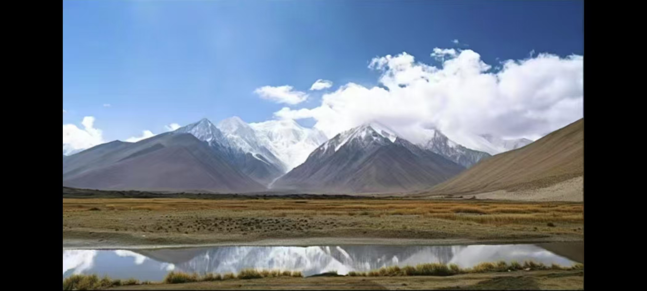 NG/24CM原创私定真皮包1195-丛林花-棕