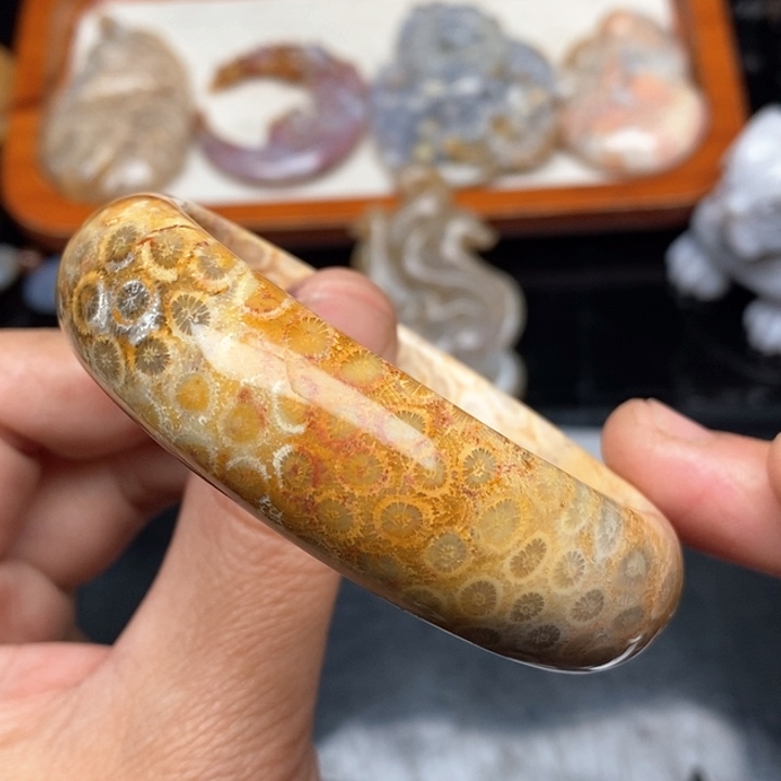 硅化珊瑚（珊瑚玉）颈饰未镶嵌54.8