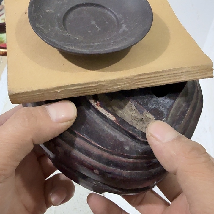 林***步扇子吃瓜哥哥哥哥哥哥哥哥哈哈哈哈