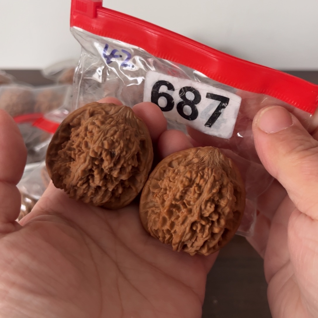 吊坠文玩核桃满天星40