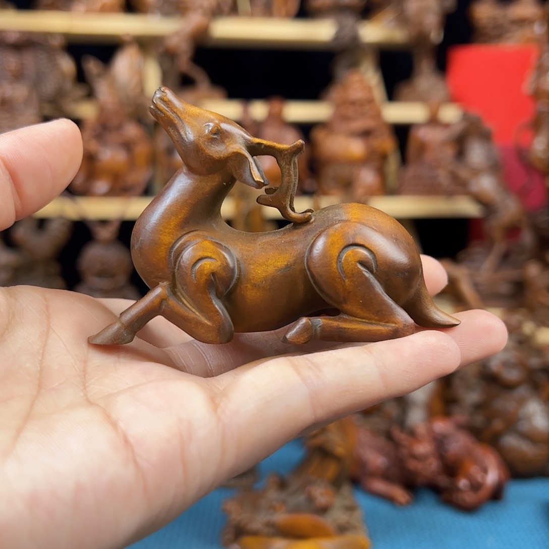 黄杨木小叶黄杨木