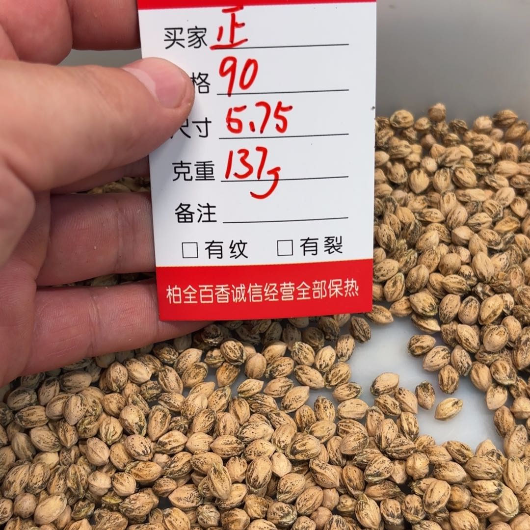 正*柏香籽散子 137 克散子