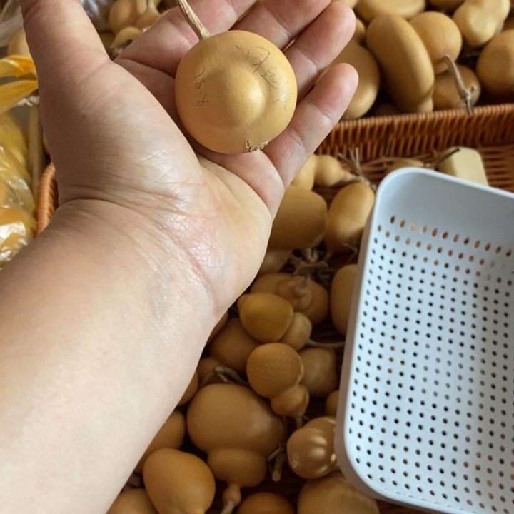 一***航一同远航葫芦葫芦