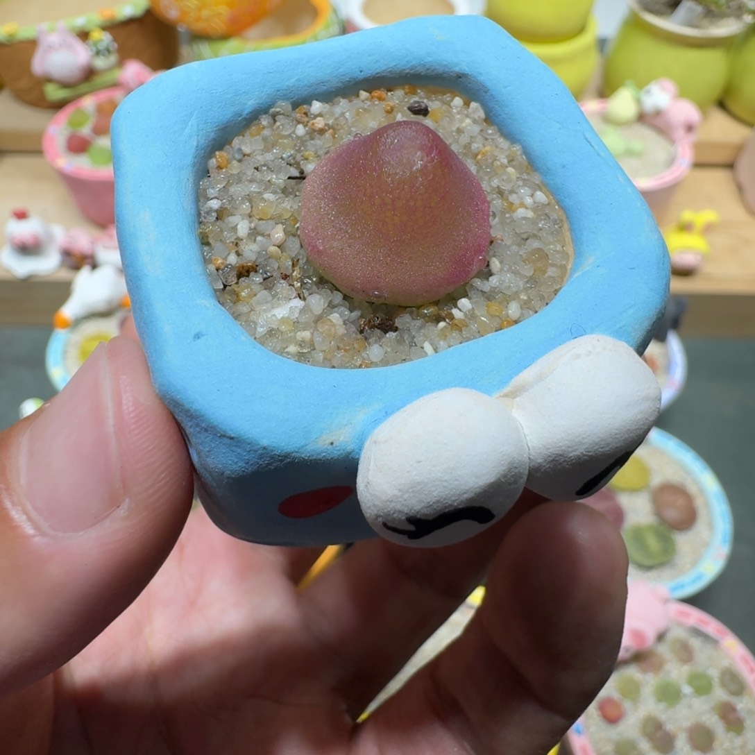 蘑菇308灯泡灯泡
