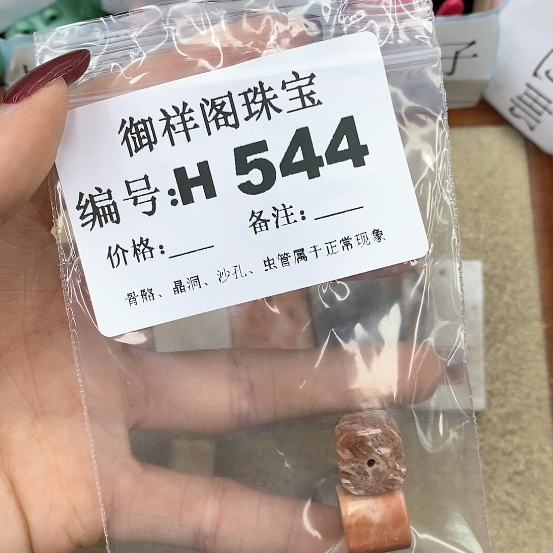 硅化珊瑚（珊瑚玉）H未镶嵌相****6