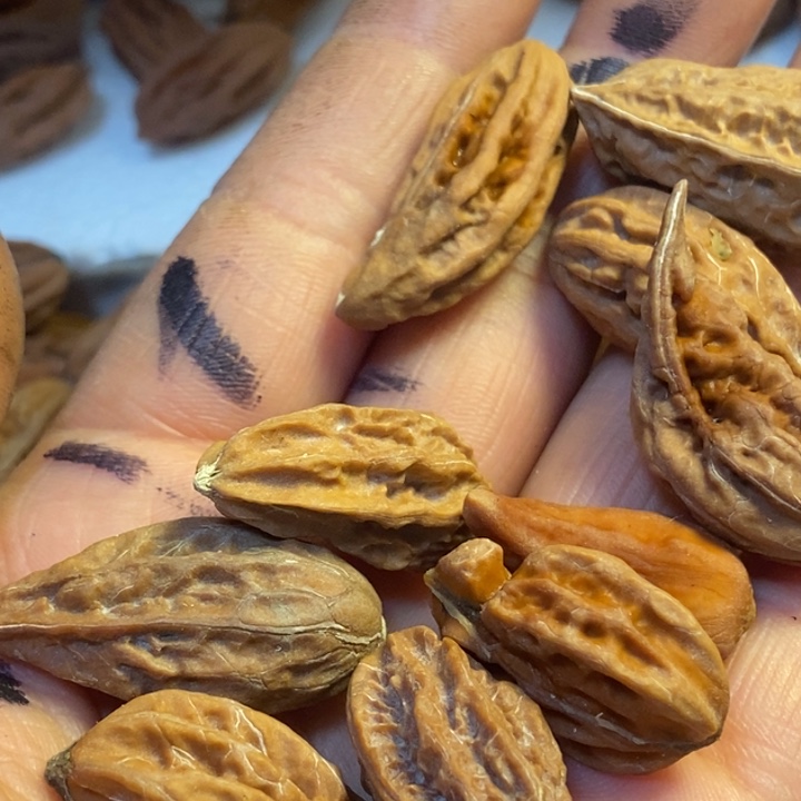 吊坠文玩核桃东北特产200