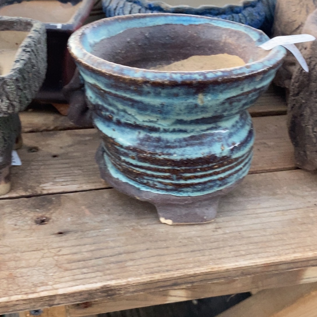 184号多肉盆口径11