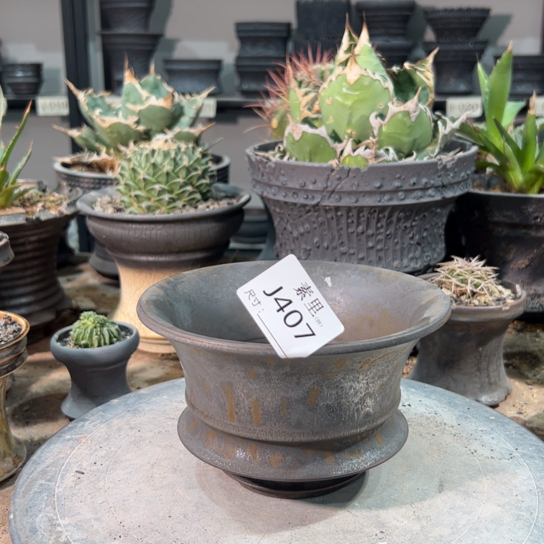 景德镇手工素里内面15.5高10