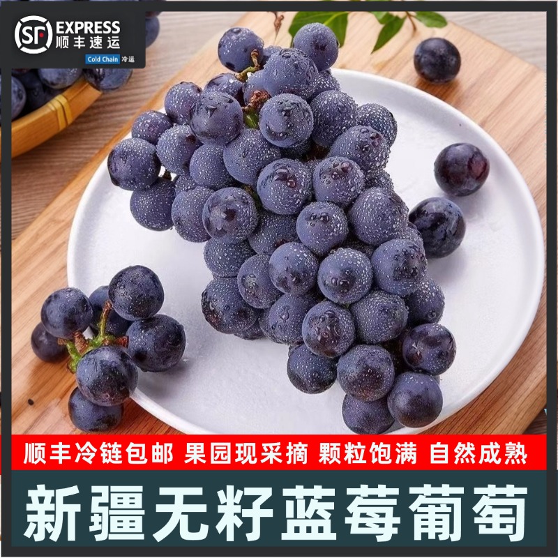 [顺丰包邮]新疆蓝莓葡萄礼盒玫瑰香冷链发货果肉细腻饱满颗粒圆润