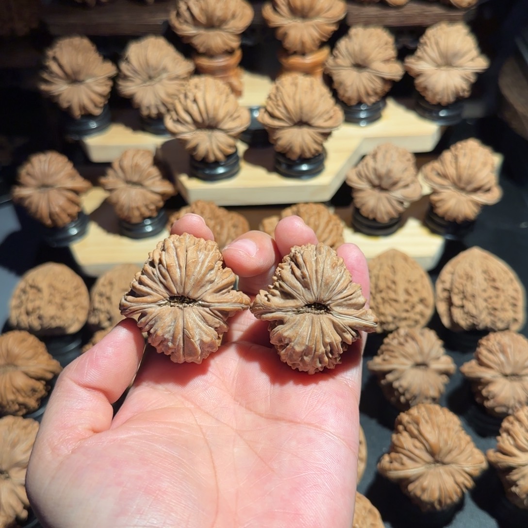 核桃41全品笑脸拱桥