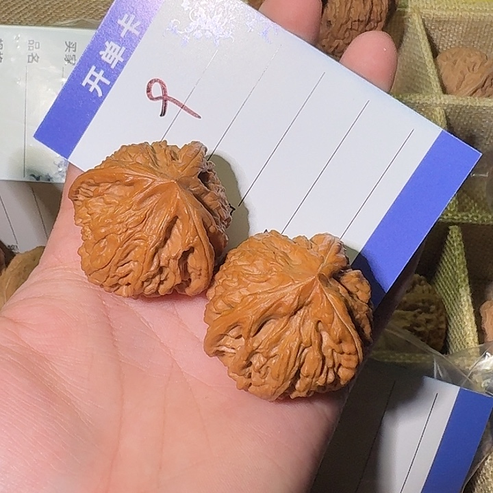 核桃御龙粗筋文玩核桃