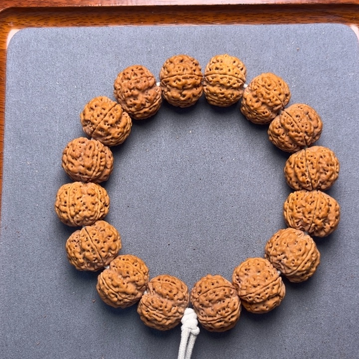 5金刚菩提蜂窝梅花22