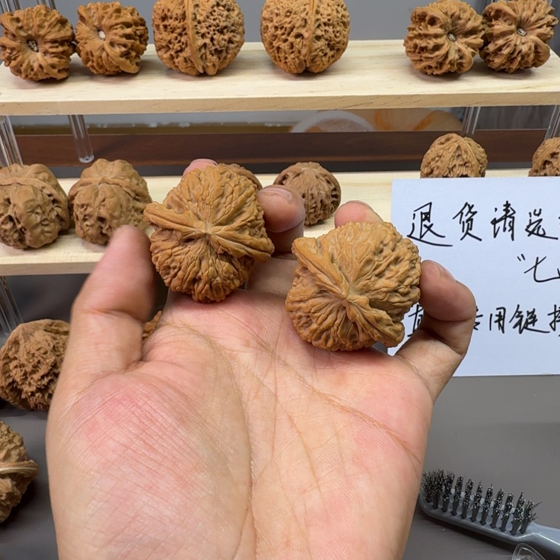 不***夕白狮子哈哈哈哈哈卷边