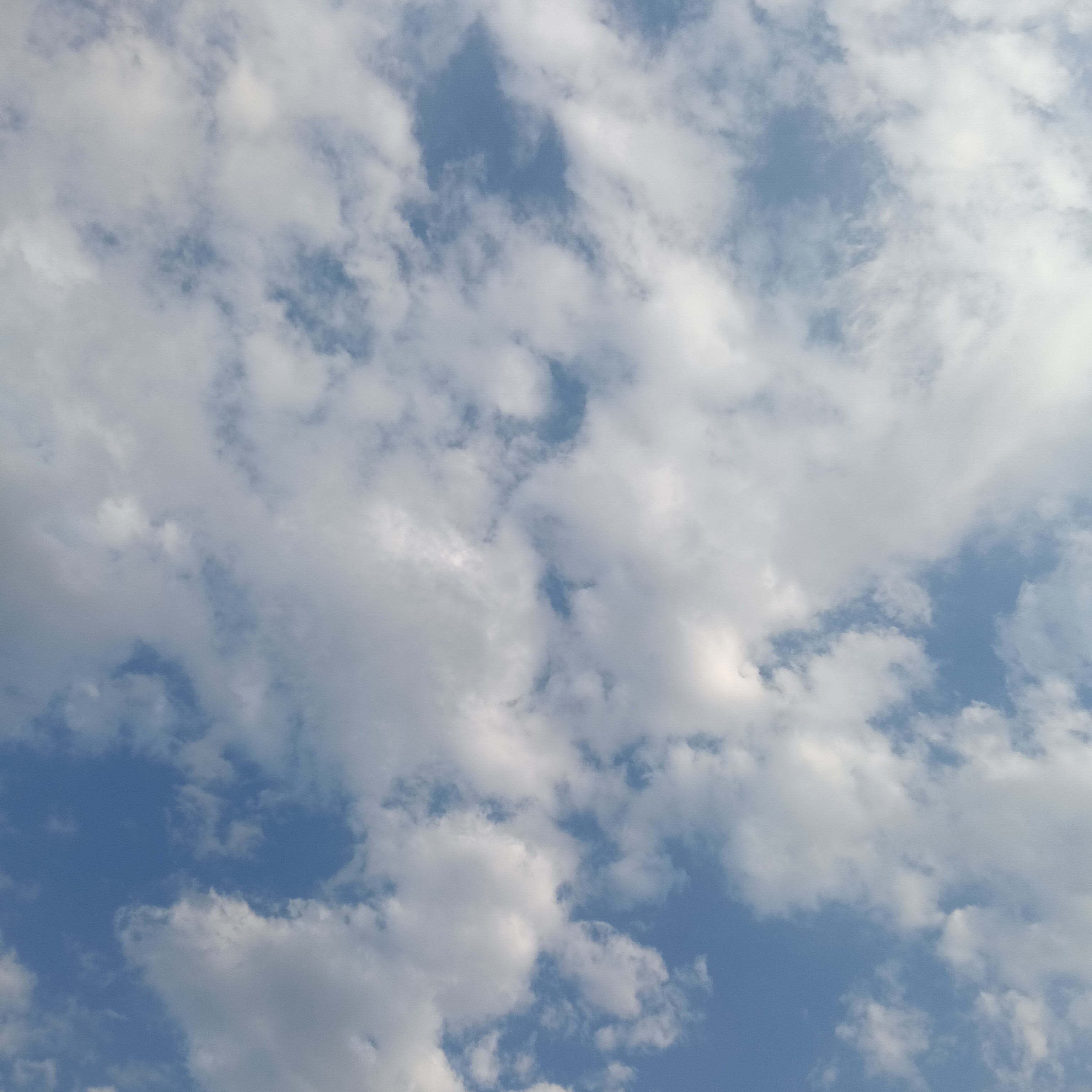 一物一拍孤品特价内衣链接