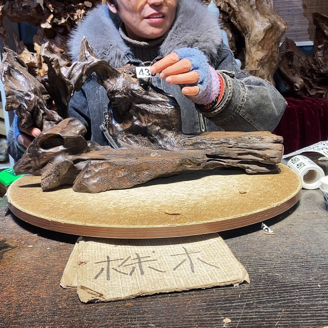 @***下435。株木随行根艺