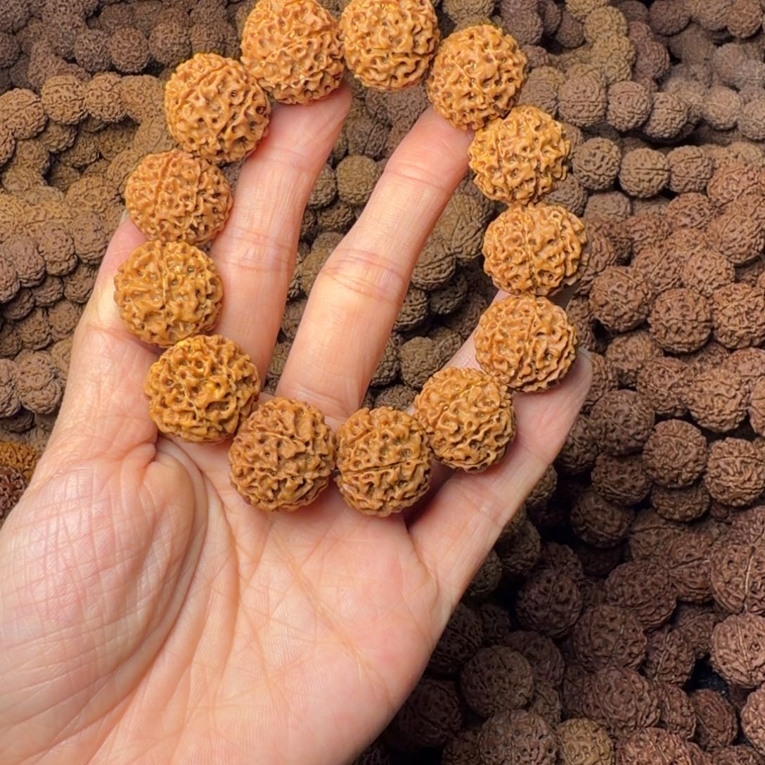 金刚菩提手串8瓣卡21尺，61号