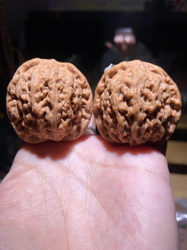 文玩核桃金公子 41.5边38肚41高