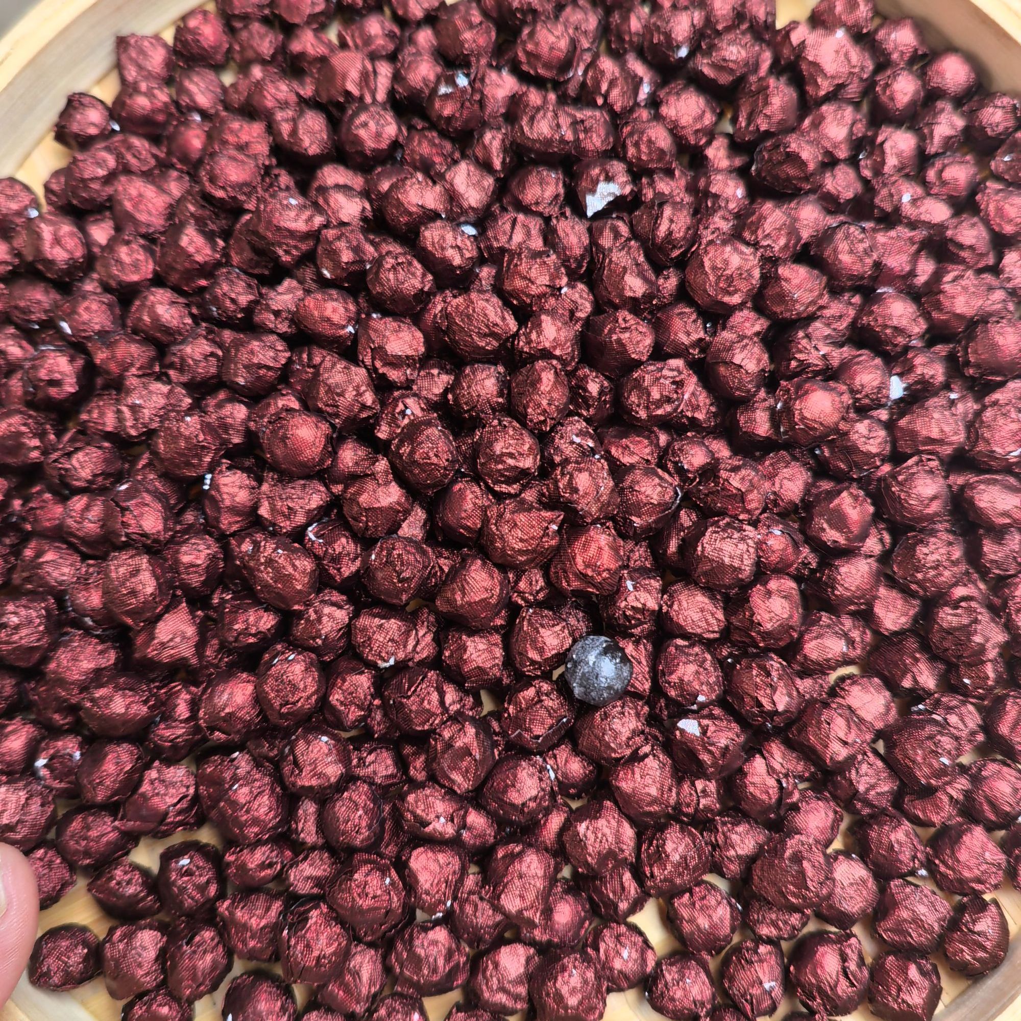 5月31【排·爆·燃 三合一】轻断猛燃·增强版燃黑茶膏