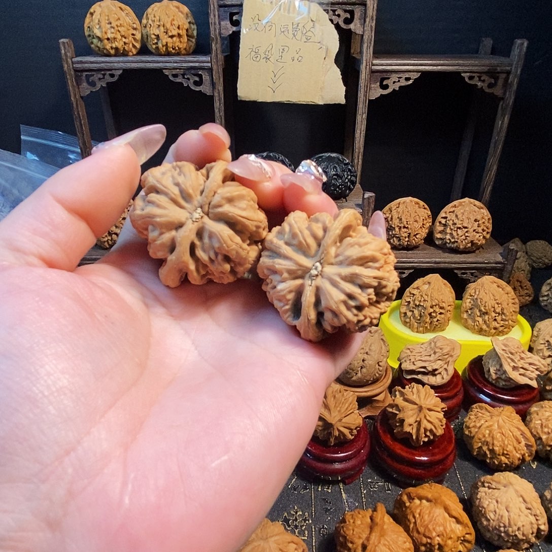 1***男核桃全品无修大粗筋