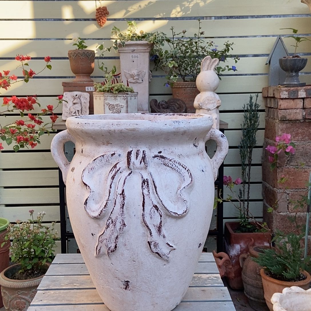 大号蝴蝶结口25高34