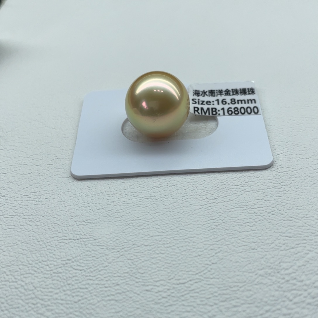 海水珍珠裸珠南洋金珠16.8m m
