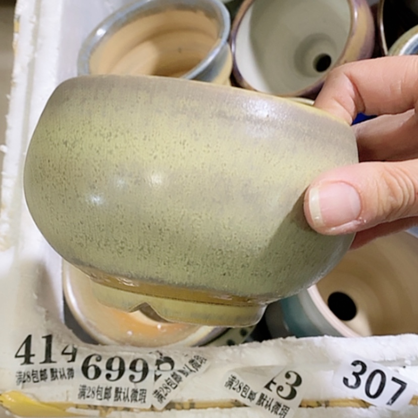 【闪购商品】红陶口10