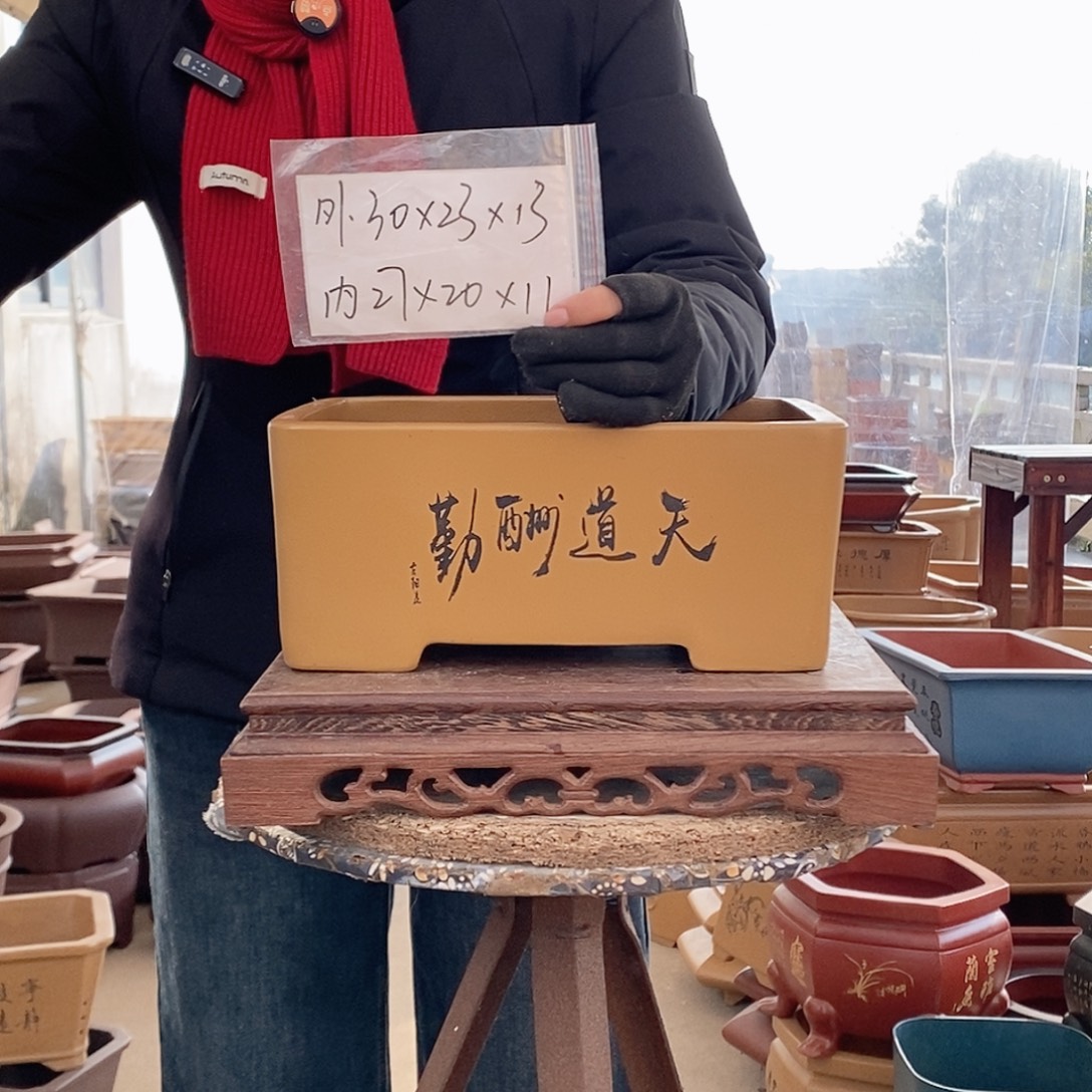 紫砂花盆紫砂花盆