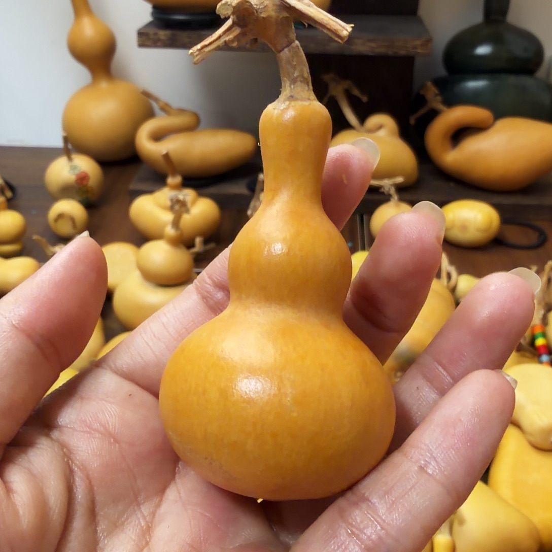 纯天然的真葫芦15