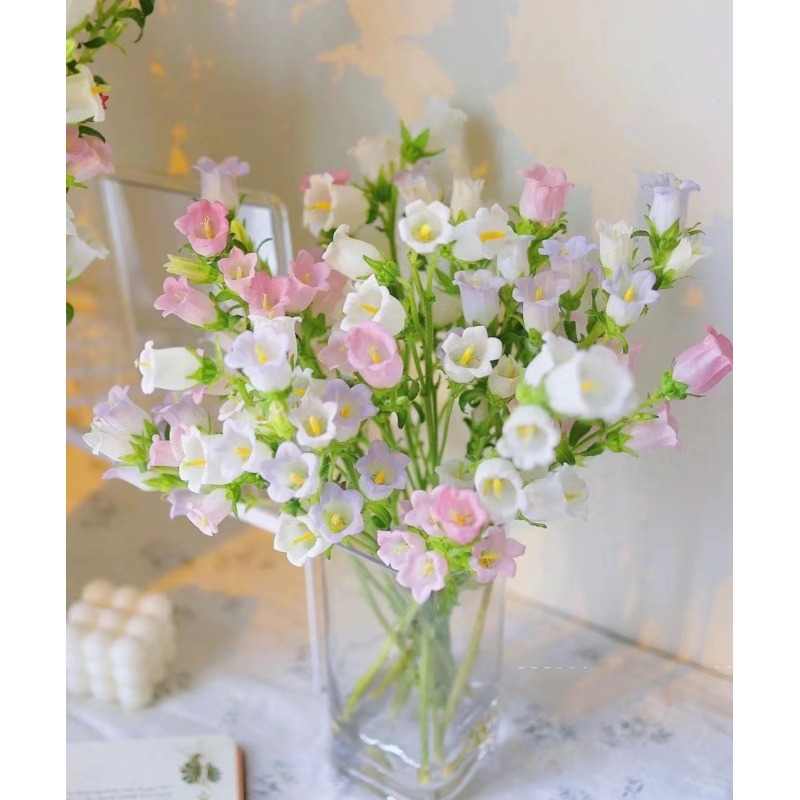 [风铃花] 任意2单顺丰/德邦  生鲜产品拒收不售后