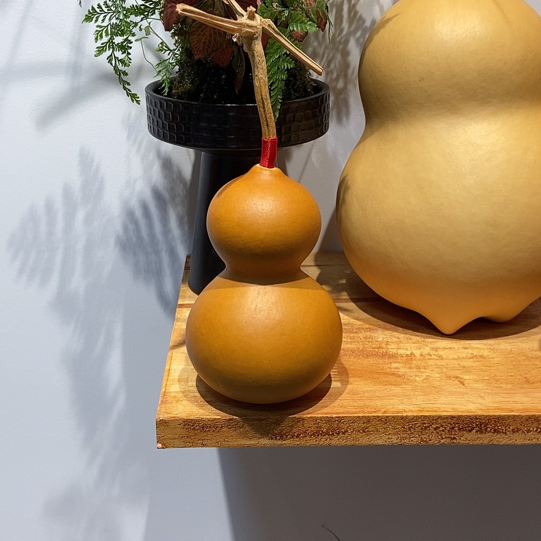 小***回哈哈哈哈哈哈哈哈哈哈