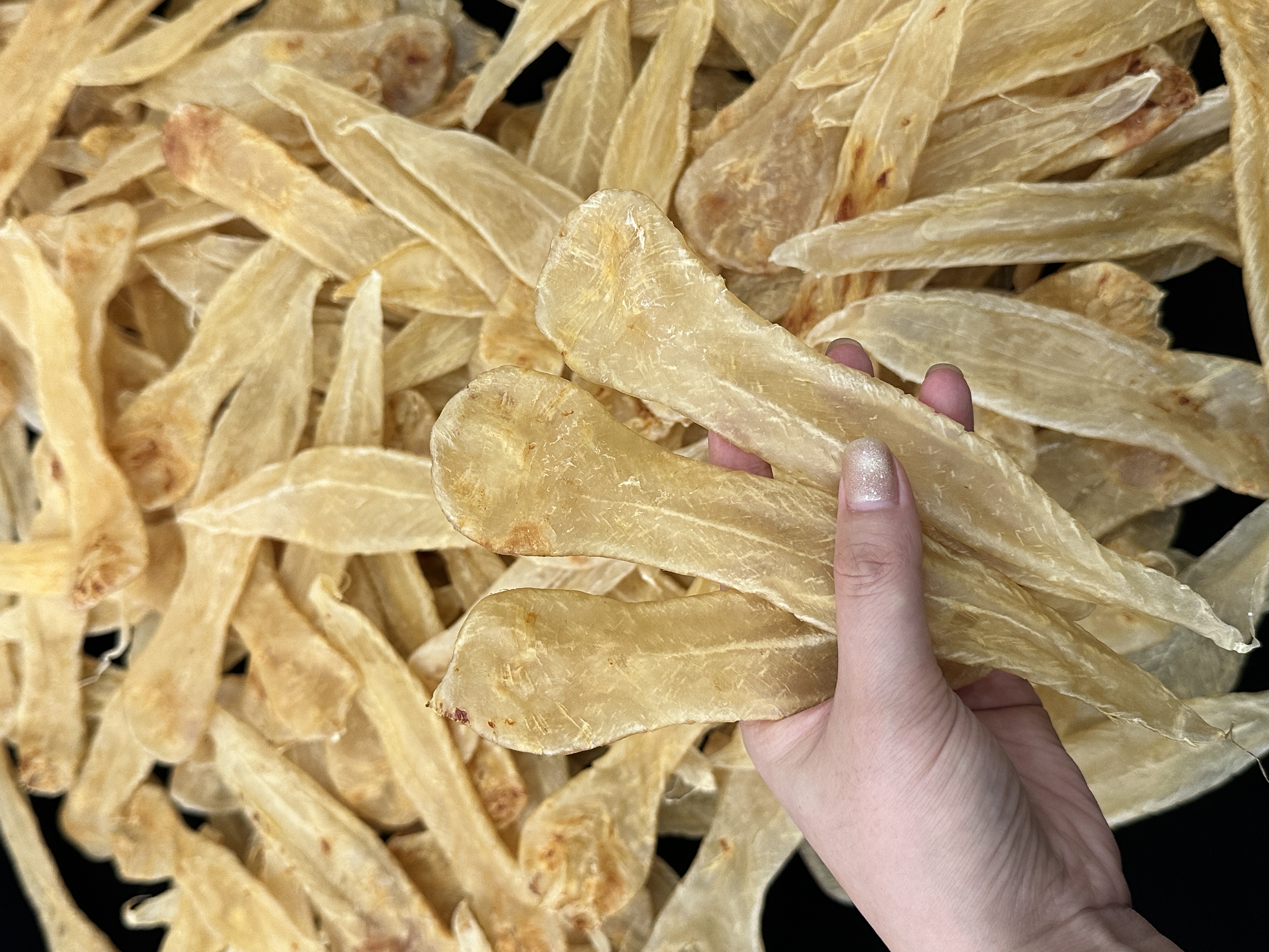 本港白花 本港赤嘴 直播间改价链接100g-500g
