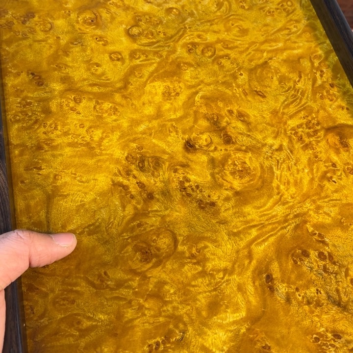 木黄金樟留疤超大托盘