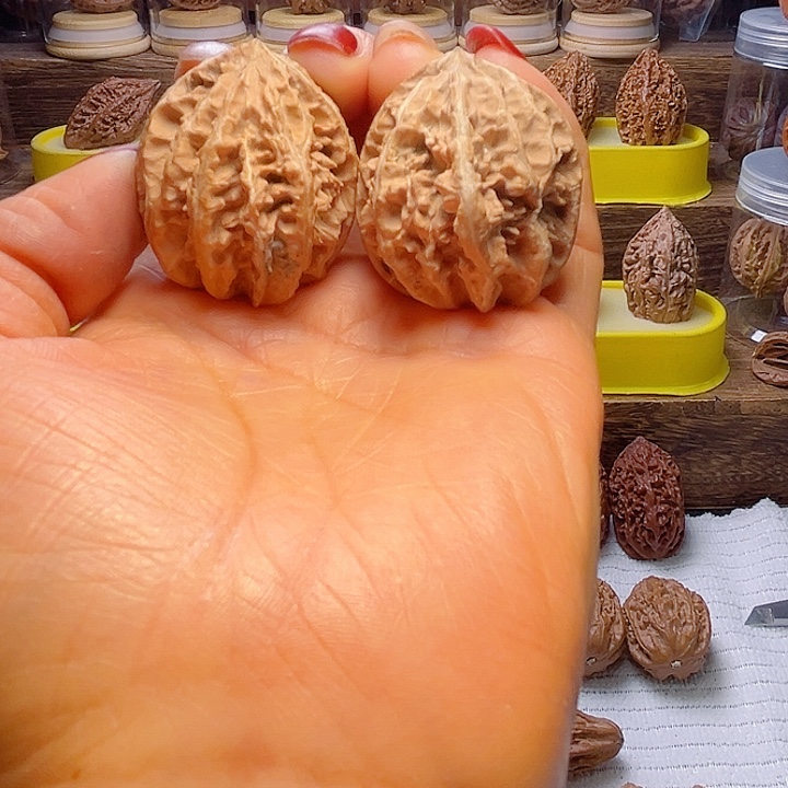 核桃8号车放漏漏漏