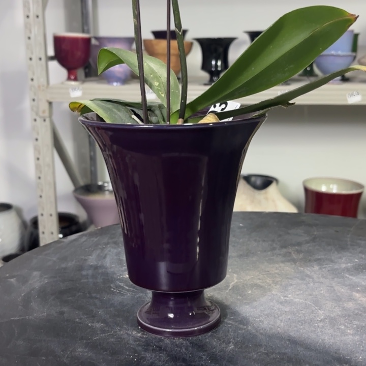 张****哦哦哦哦哦哦哦803