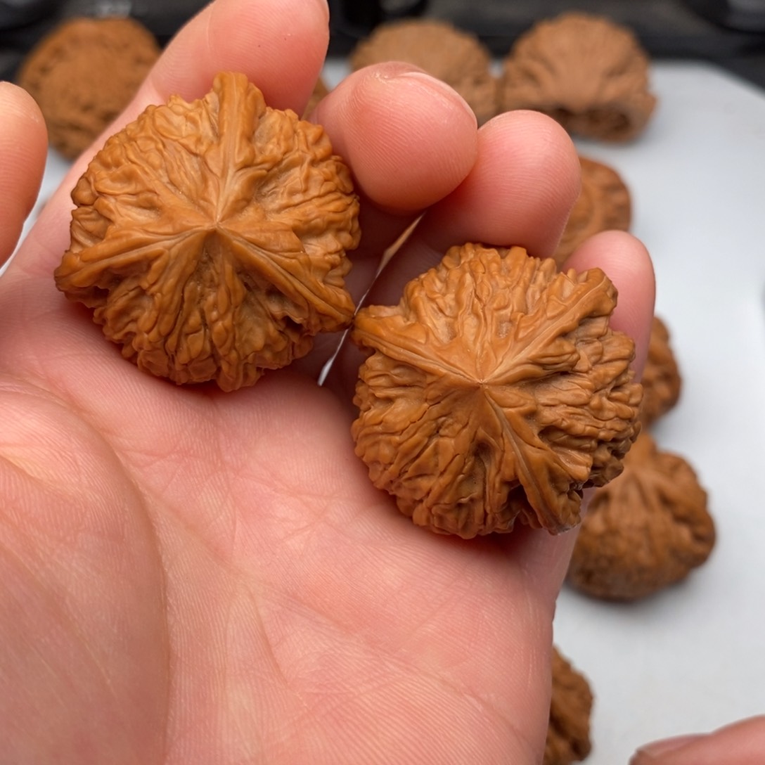 文玩核桃把件37左右三棱