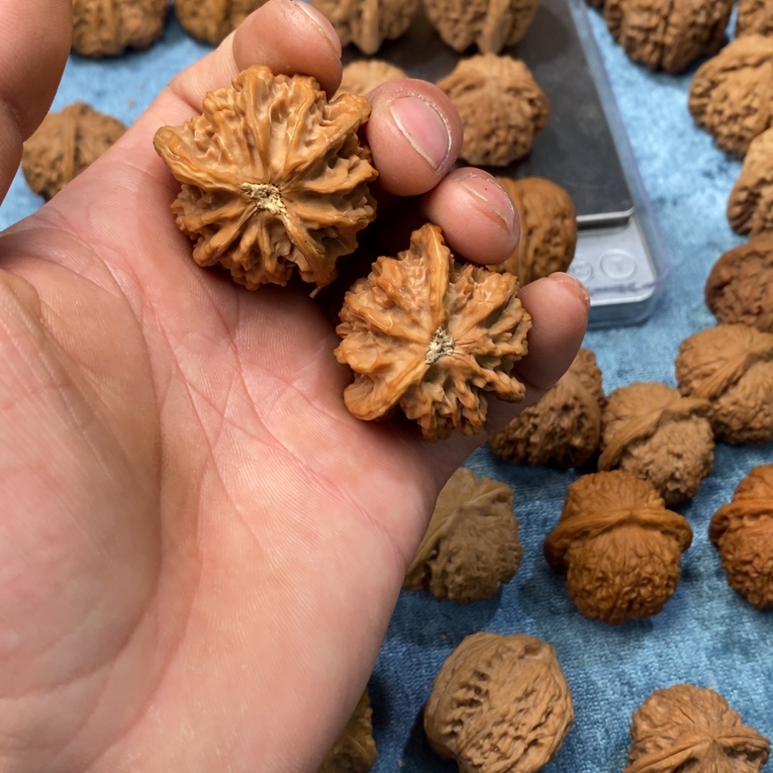 胆***哥文玩核桃吊坠1111111