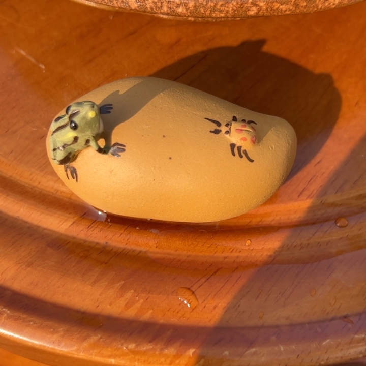 紫砂茶壶黄金段小青蛙