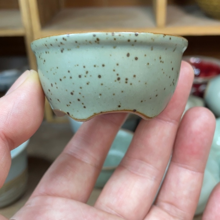 壶茶壶陶瓷茶具茶杯