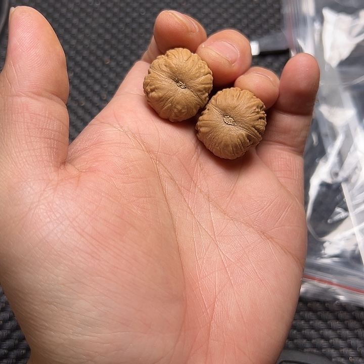 文玩核桃吊坠南瓜